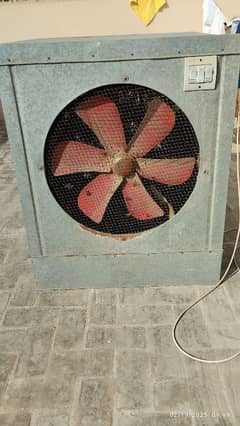 Air Cooler