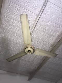 Fan for sale full ok