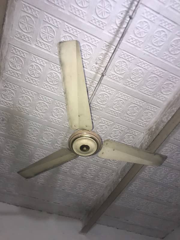 Fan for sale full ok 0