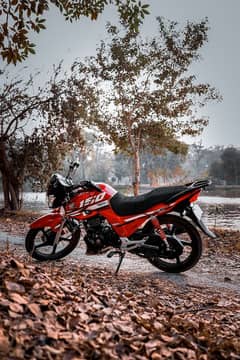 Honda cb 150f 2024