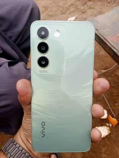 vivo y100 16/256