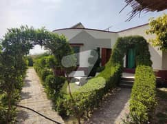 Centrally Located Farm House Available In Gadap Town For rent