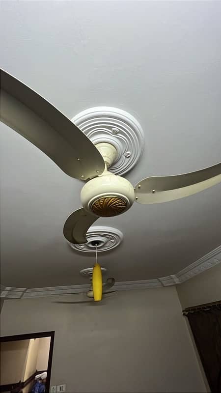 GFC ceiling fan 2