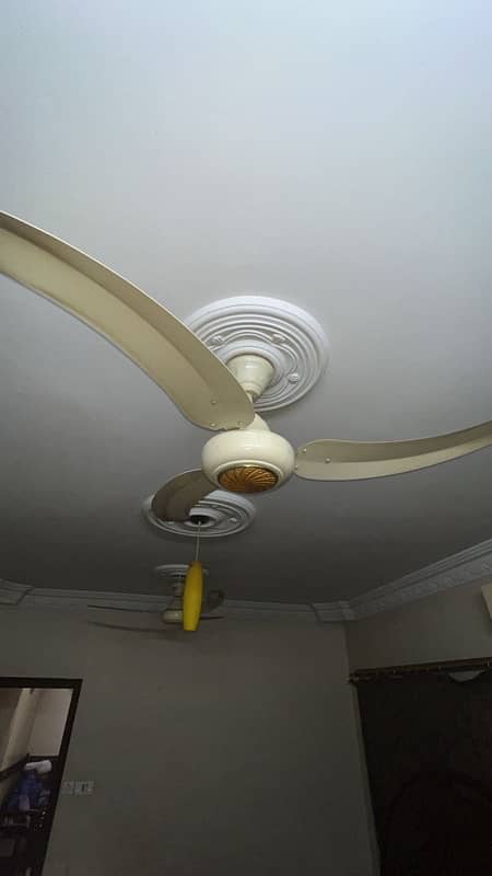 GFC ceiling fan 3