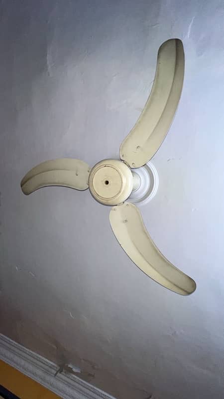 GFC ceiling fan 4