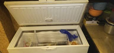 deep freezer home used