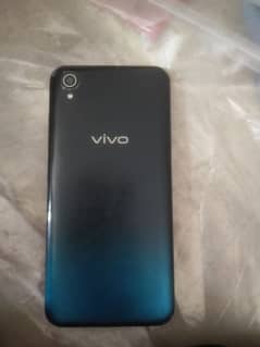 vivo