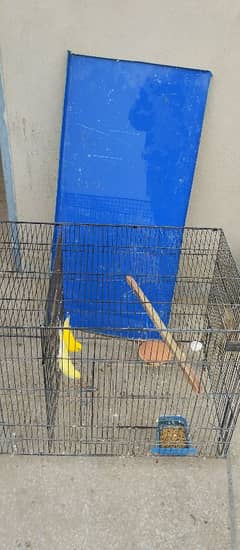 parrot cage folding for sale red I parrots Australian b available hai