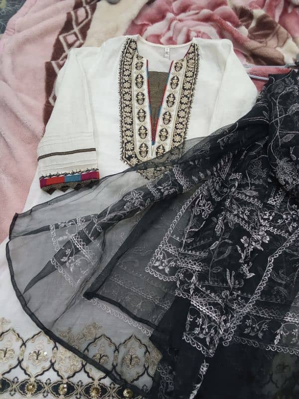 Ethnic by outfitter luxury collection eid 2 pc 2