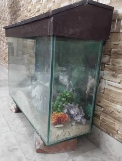 Large Fish aquarium in good condition 1