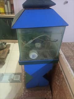 Fish aquarium