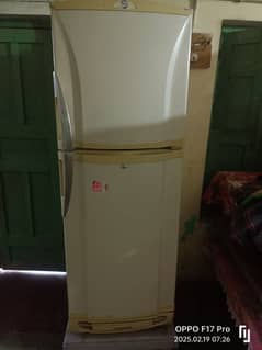 PEL Refrigerator