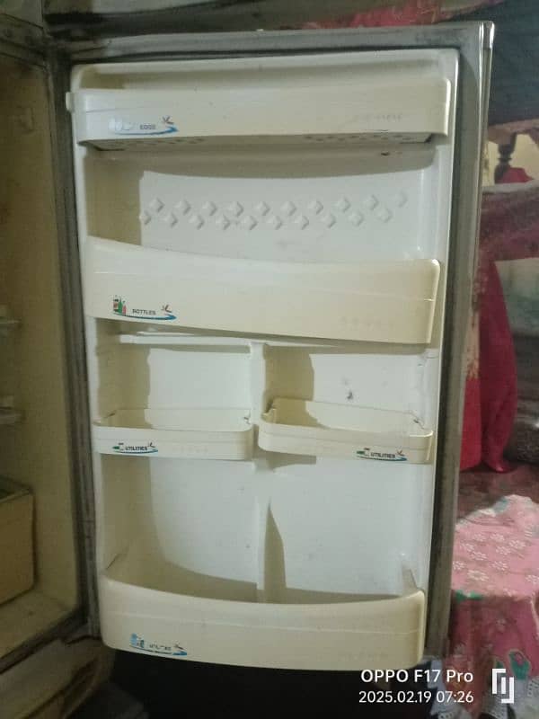 PEL Refrigerator 6