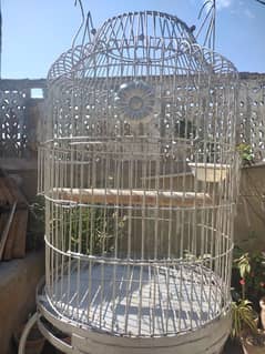 Bird's Cage