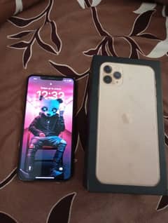 iphone 11 pro max 64gb pta approved