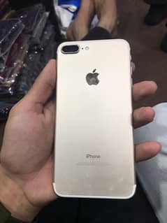 7 PLUS PTA APPROVED