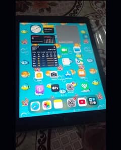 iPad