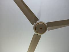 home used ceiling fans