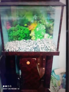 Aquarium Fish Tank Urgent sale