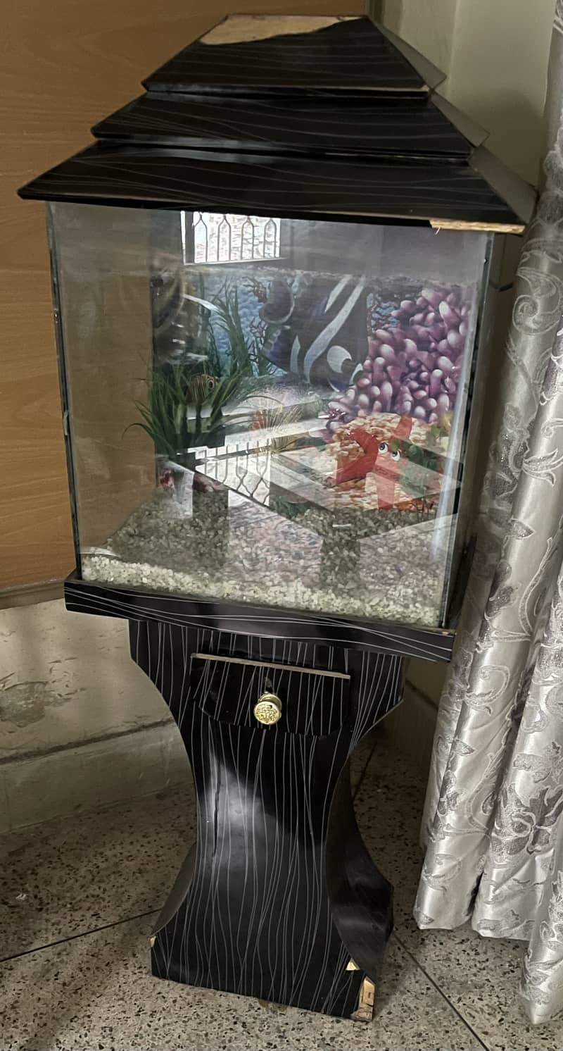 Aquarium available 1