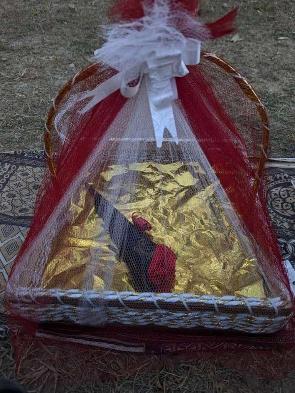 Gift Basket 7