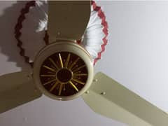 AC DC Rado 56 inches fan