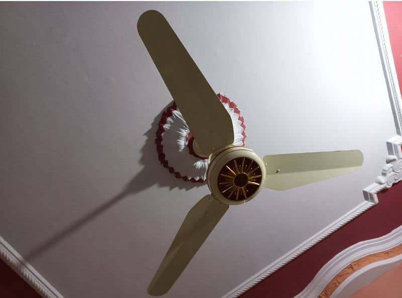 AC DC Rado 56 inches fan 2