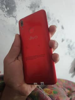 vivo