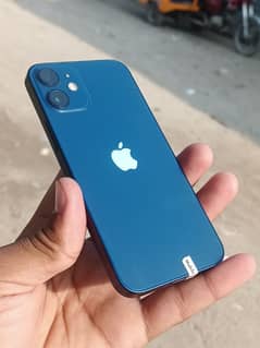 iphone 12 Mini