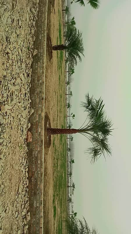 1 Kanal Plot Available At Meryyland Housing Society Mardan 4