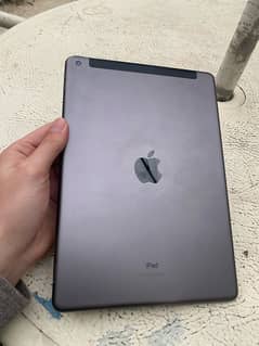 iPad