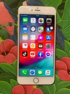 iPhone 6 plus 128 GB my WhatsApp number 03354716128