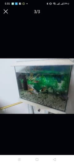 Acquarium For Sale