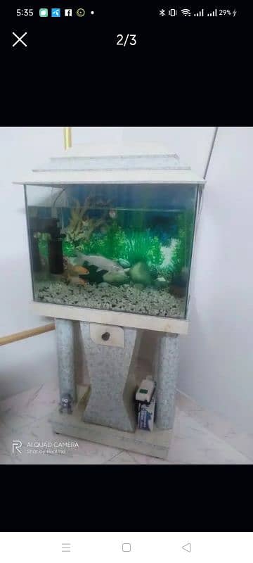 Acquarium For Sale 1