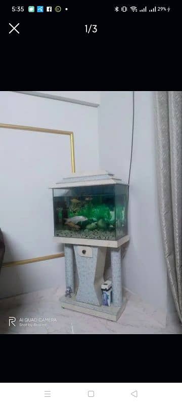 Acquarium For Sale 2