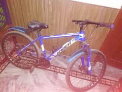 Bicycle for sale