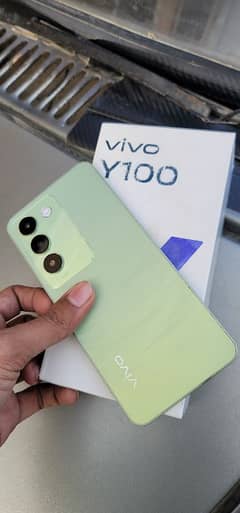 vivo