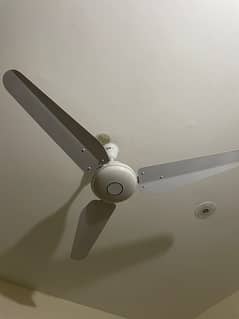 2 ceiling fans