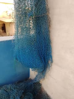 wall net