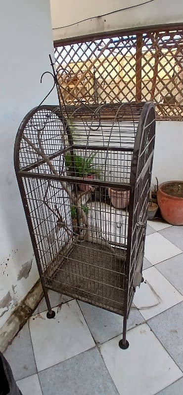 used cage 4