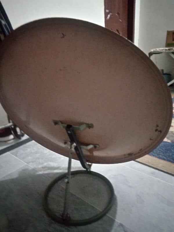 2 feet dish 1