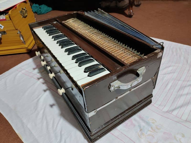 palitna harmonium 1