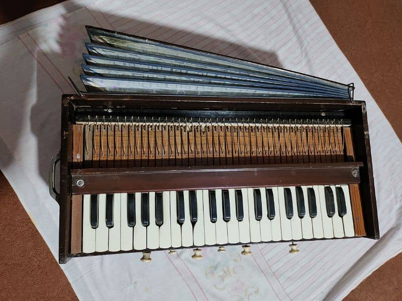 palitna harmonium 2