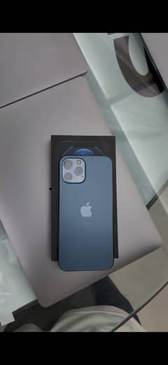 iPhone 12 Pro Max PTA Approved