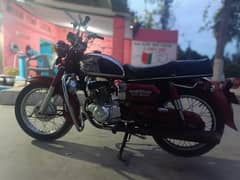 honda 200 road master