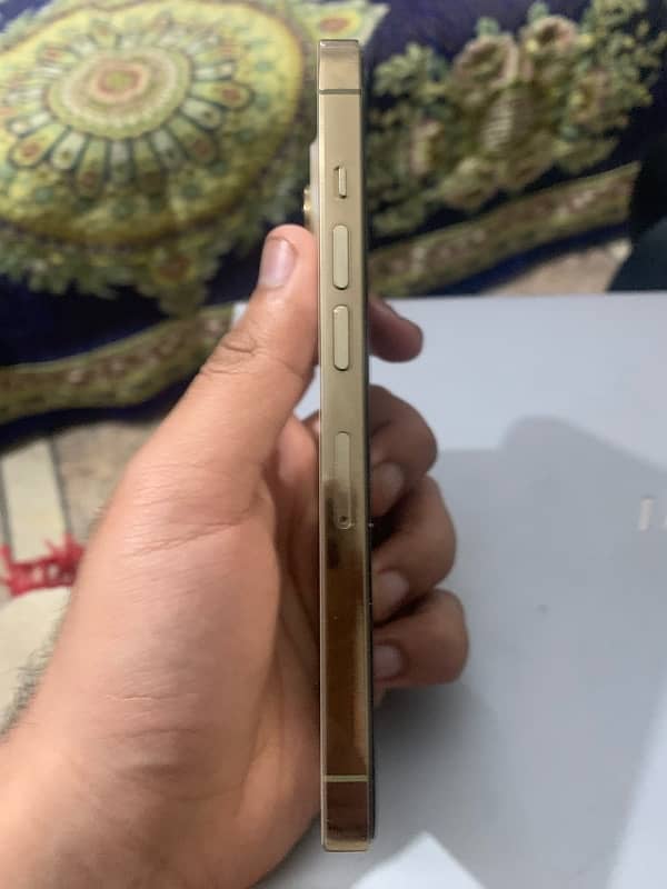 iphone 13 pro factory unlock 100bh 4