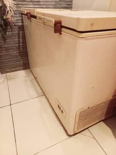 Dawlance Twin Door Freezer