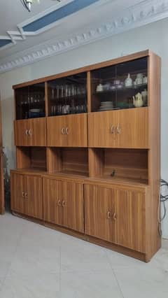 Kitchen or Living Room Cabinet