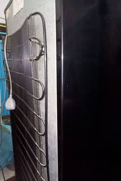 PEL Refrigerator Glass Door