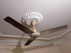 pak fan in good condition provides good air